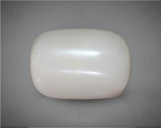 Natural White Coral ( Safed Moonga) Certified  10.19 CTS. ( 91458 )